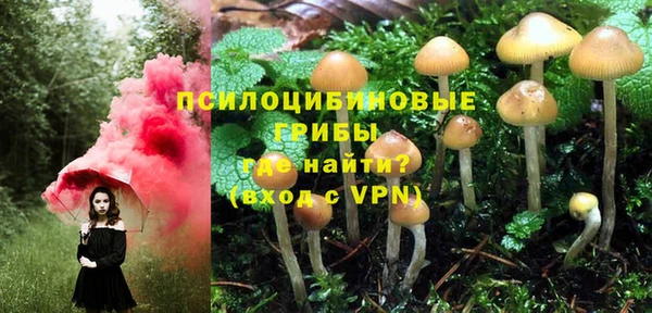 герыч Алексеевка